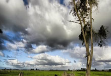 乒乓仁川赛：国乒男单遭遇惨败！陈垣宇0-3出局，一轮游止步32强.